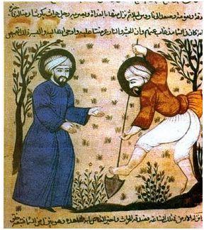 Ibn Razīn Al-Tujībī